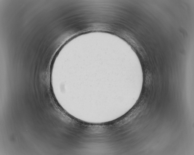 X0000112110836200909011144