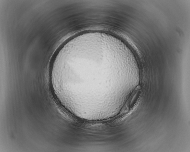 X0000112110837200909011144