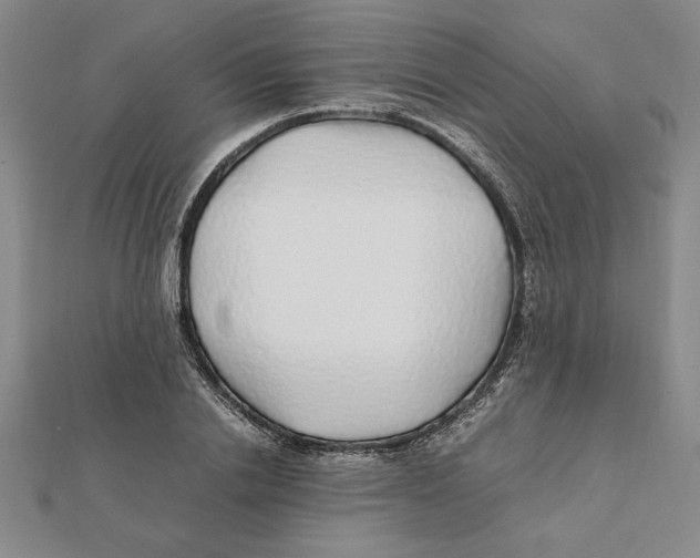 X0000112110838200909011144