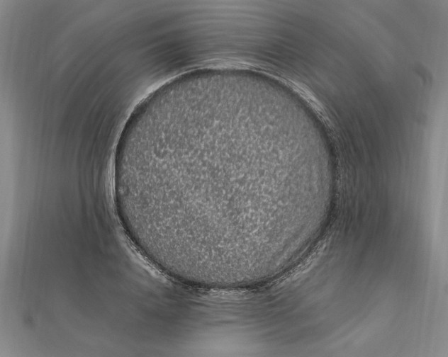 X0000112110840200909011144