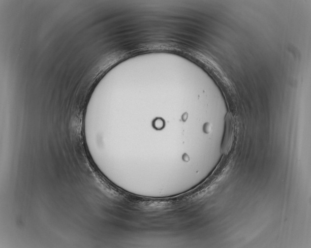 X0000112110841200909011144