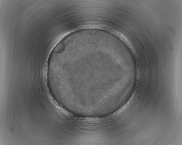X0000112110844200909011144