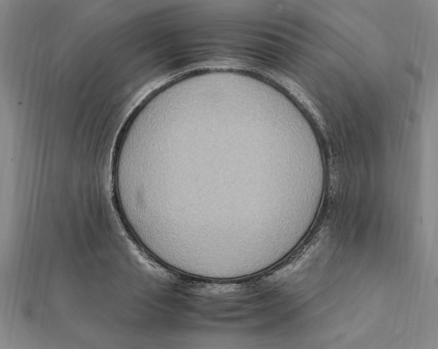 X0000112110845200909011144