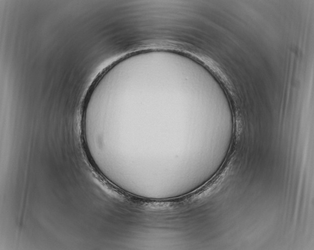 X0000112110846200909011144
