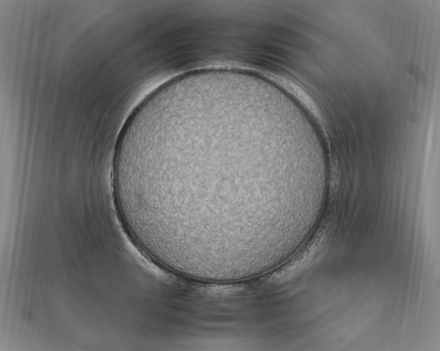 X0000112110847200909011144