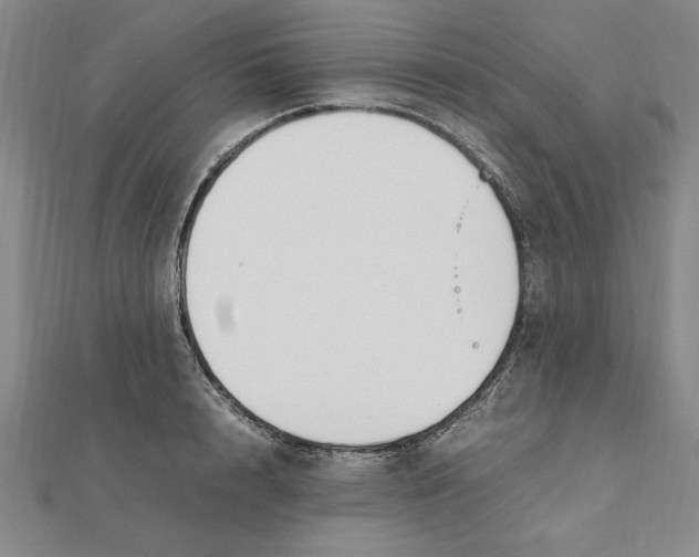 X0000112110848200909011144