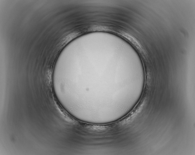 X0000112110849200909011144
