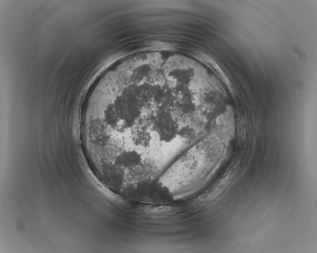 X0000112110851200909011144