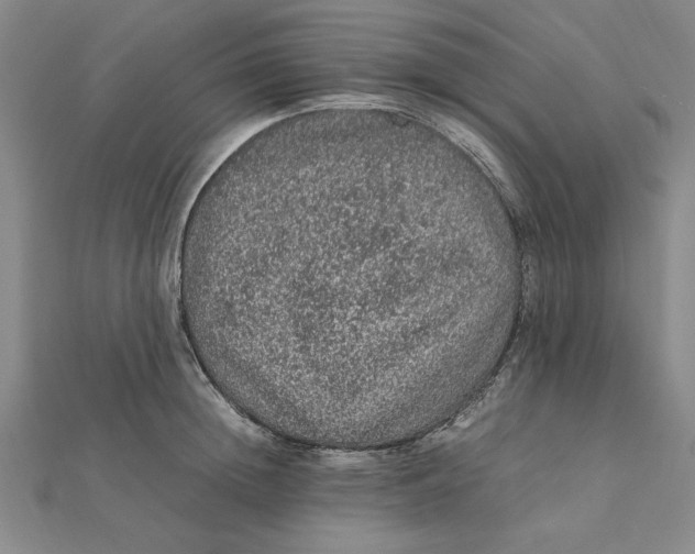 X0000112110852200909011144