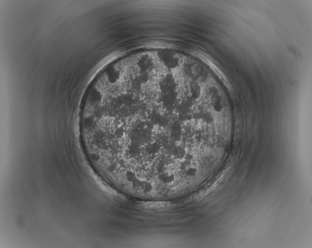 X0000112110853200909011144