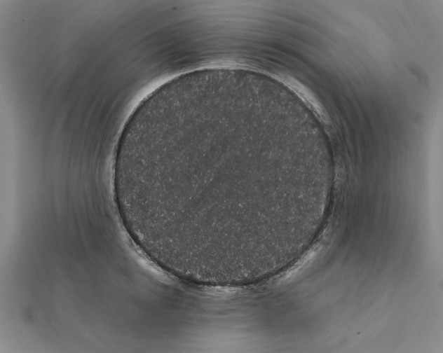 X0000112110854200909011144