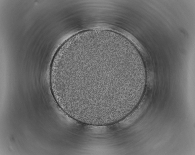 X0000112110856200909011144