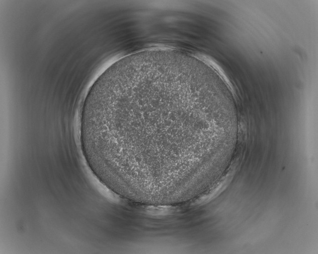 X0000112110859200909011144