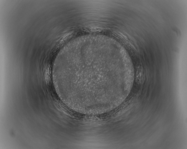 X0000112110866200909011144
