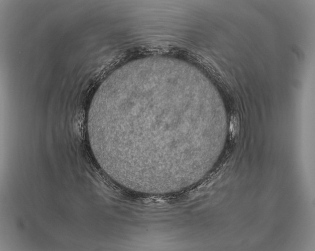 X0000112110867200909011144