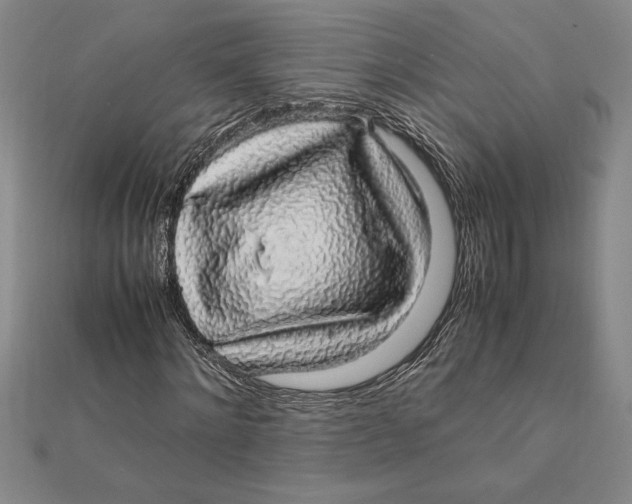 X0000112110868200909011144