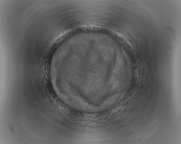 X0000112110870200909011143