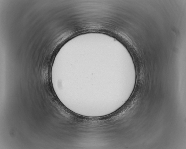 X0000112110873200909011143