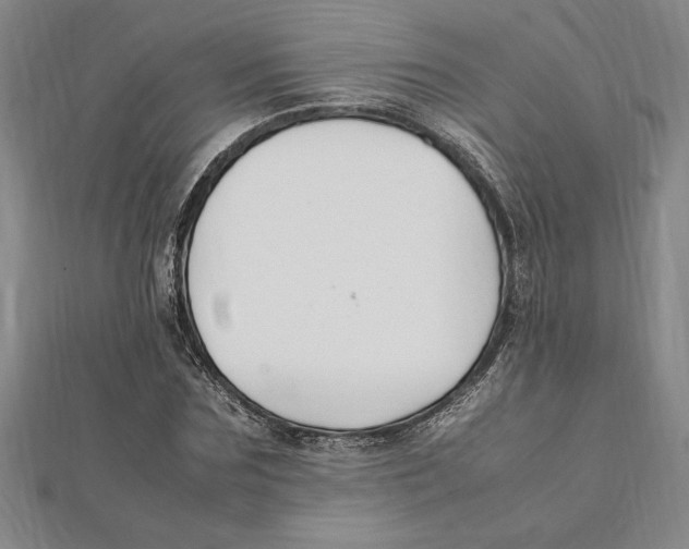X0000112110875200909011143