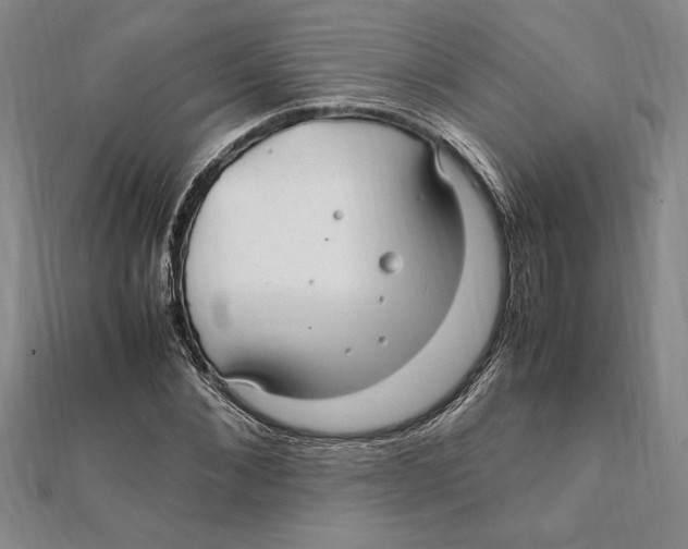X0000112110876200909011143
