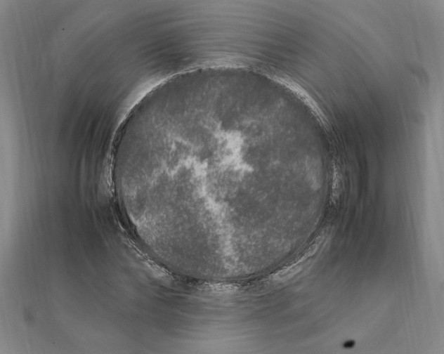 X0000112110878200909011143