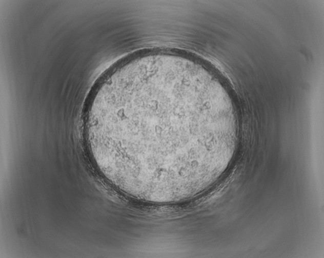 X0000112110879200909011143