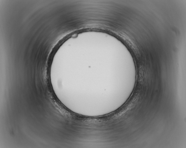 X0000112110880200909011143