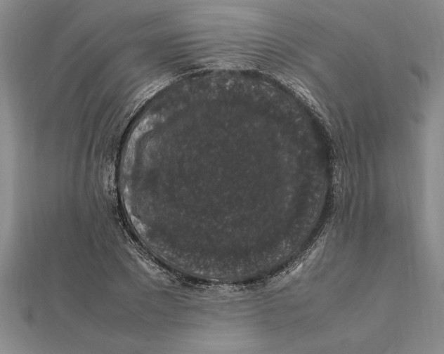 X0000112110881200909011143