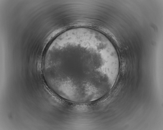 X0000112110882200909011143
