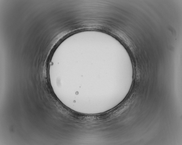 X0000112110883200909011143