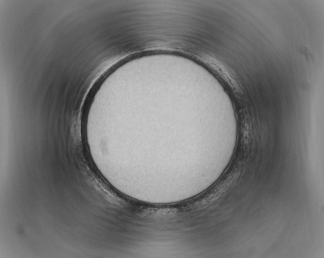 X0000112110884200909011143