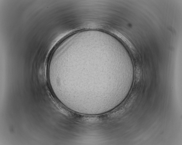 X0000112110886200909011143