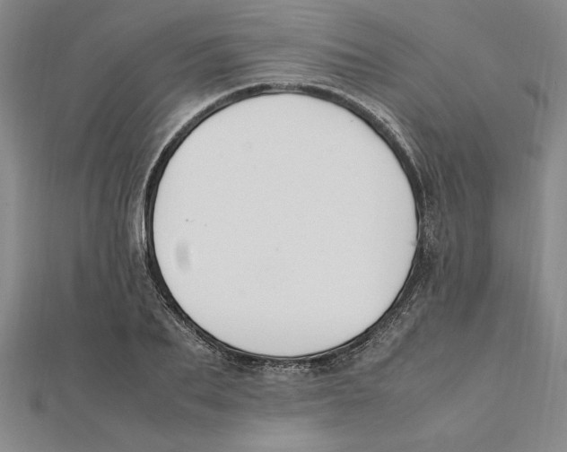 X0000112110887200909011143