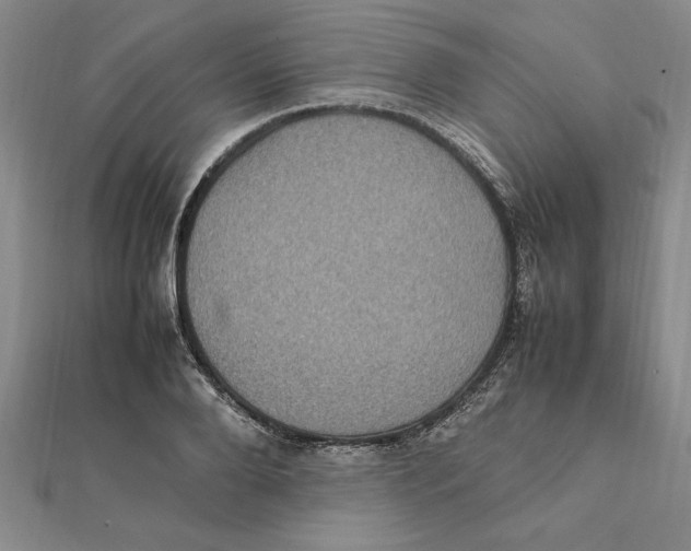 X0000112110888200909011143