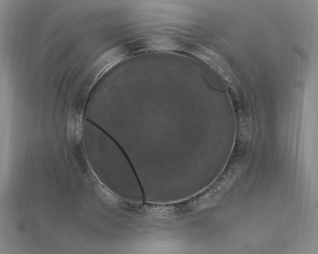 X0000112110889200909011143