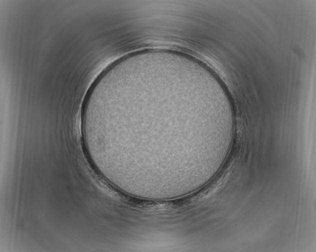 X0000112110891200909011143