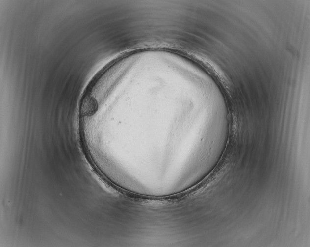 X0000112110894200909011143