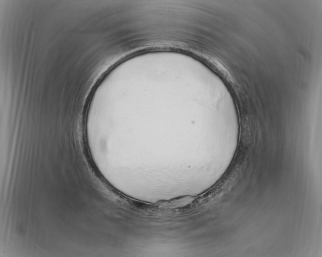 X0000112110895200909011143