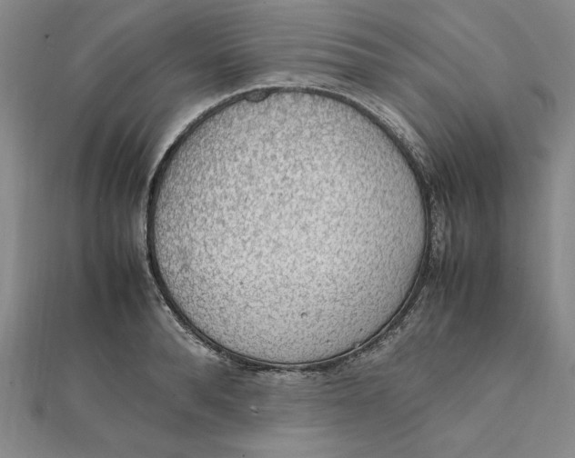 X0000112110896200909011143