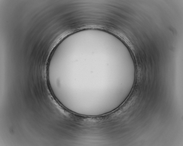 X0000112110898200909011143