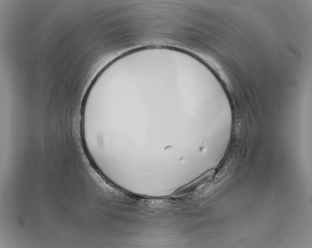 X0000112110903200909011143