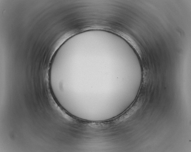X0000112110906200909011143