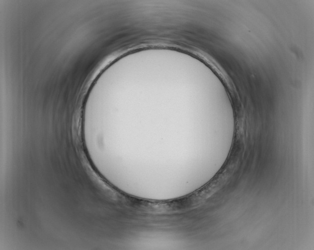 X0000112110911200909011143