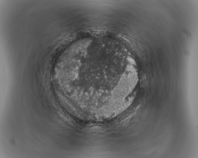 X0000112110913200909011142