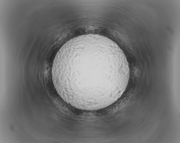 X0000112110914200909011142