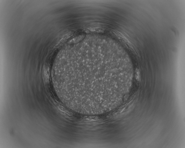 X0000112110915200909011142