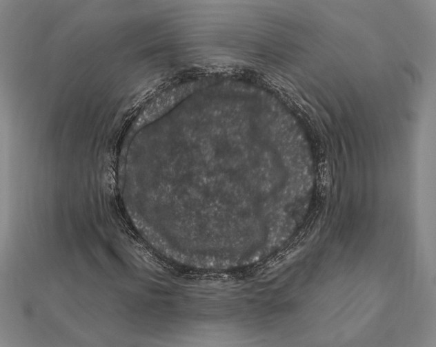 X0000112110916200909011142