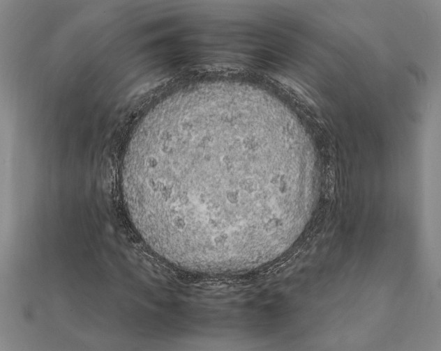 X0000112110917200909011142