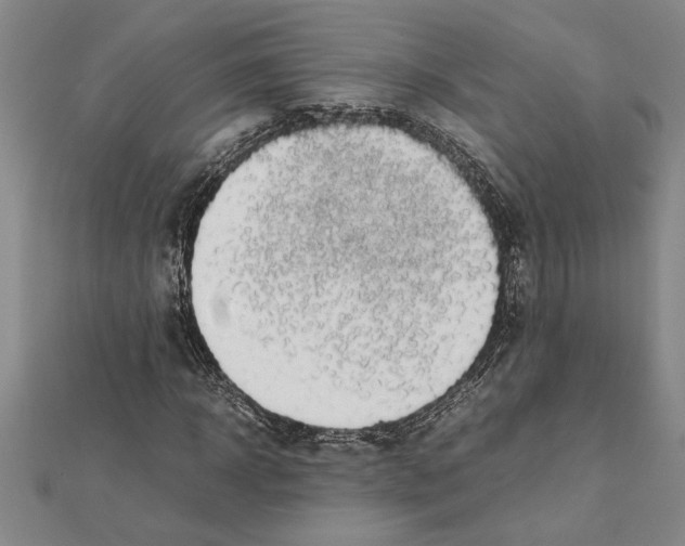 X0000112110918200909011142
