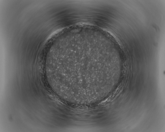 X0000112110919200909011142